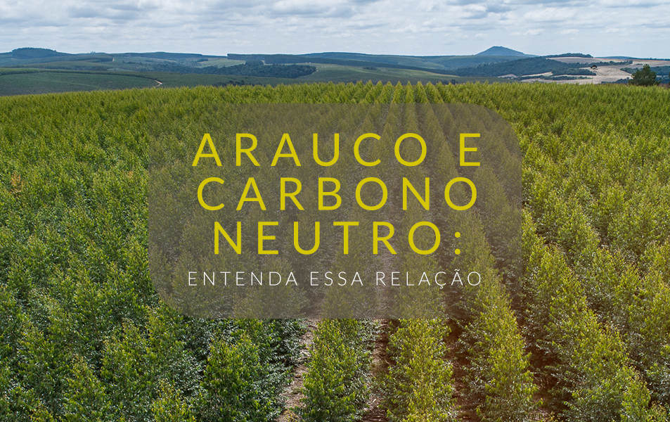 Carbono Neutro: entenda como a ARAUCO recebeu a certificação