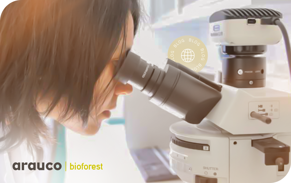 Bioforest: conheça o programa de pesquisas da ARAUCO