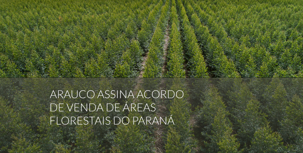 Arauco vende operação florestal no Paraná