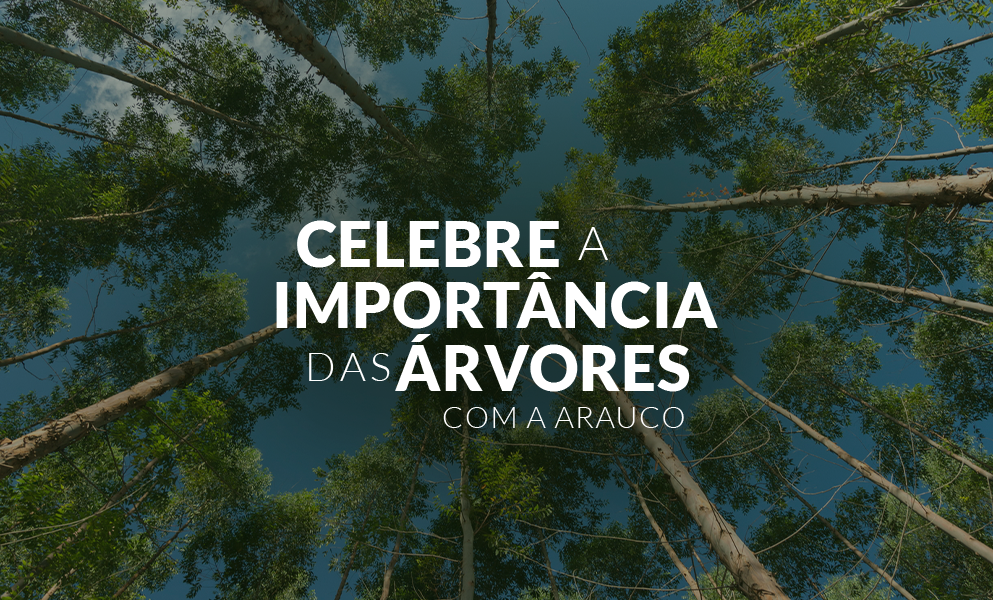 Dia da Árvore: conheça a motivação da data e a importância para a proteção ambiental