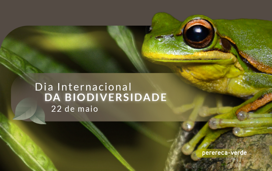 22 de Maio – Dia Internacional da Biodiversidade